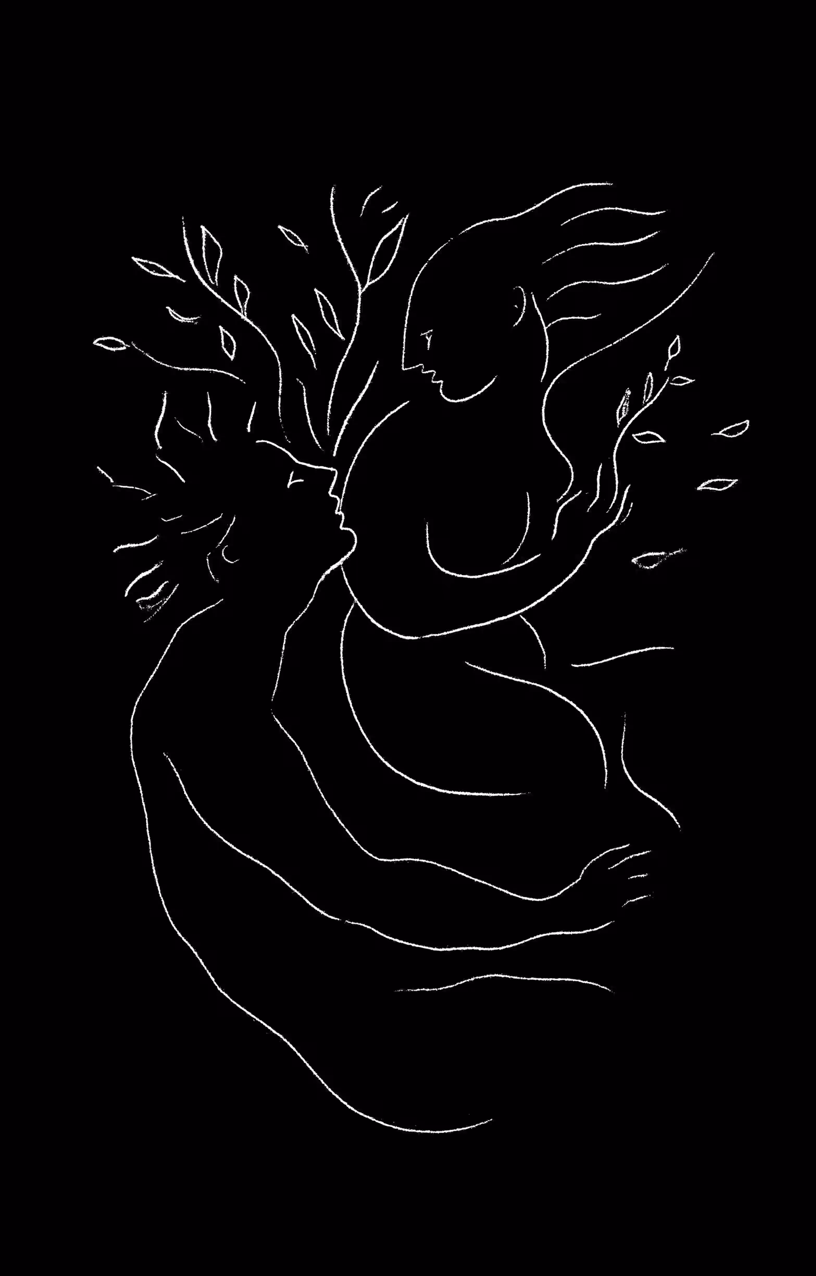 Les Metamorphoses d'Ovid, Illustration I