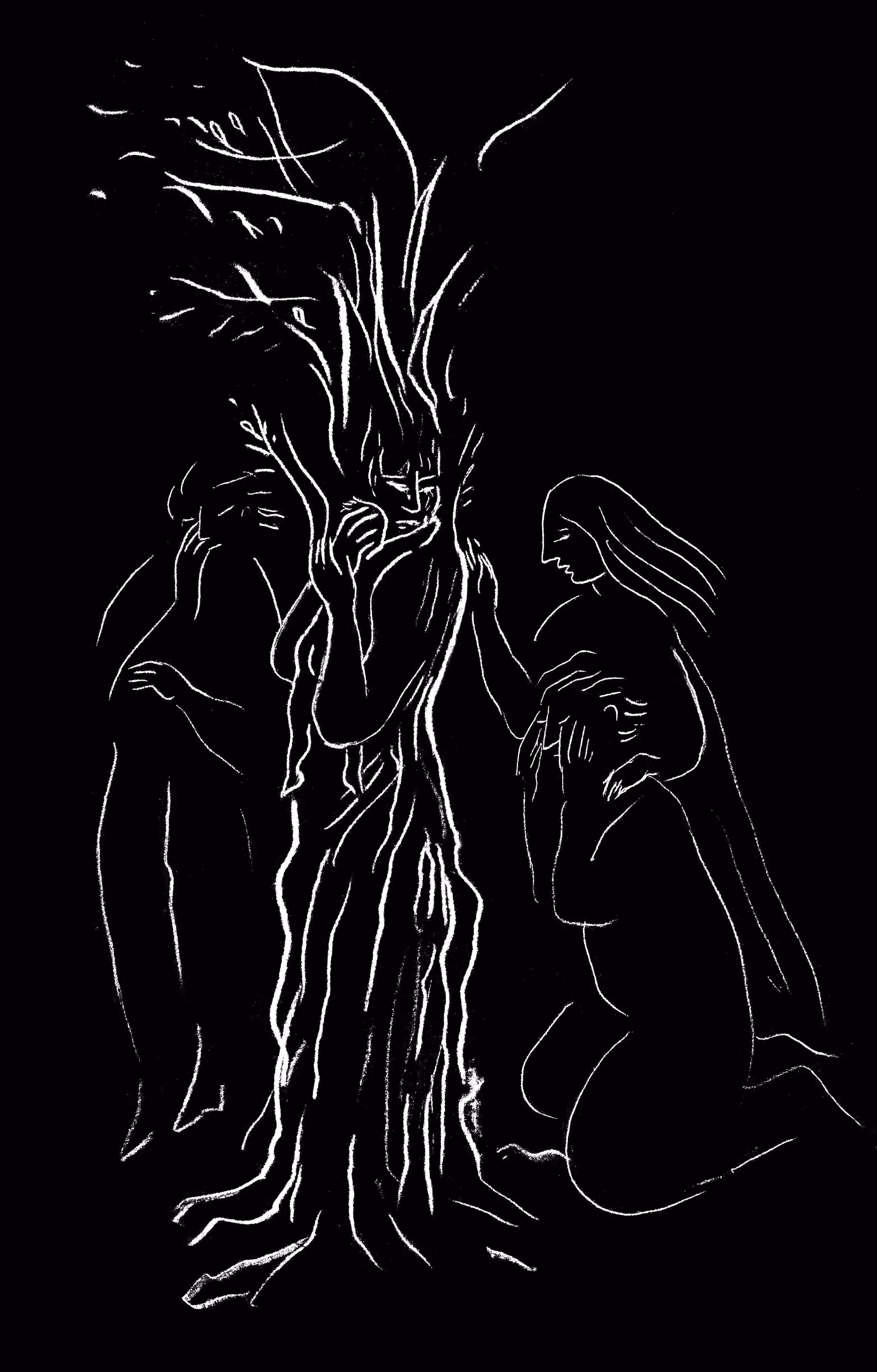 Les Metamorphoses d'Ovid, Illustration IX