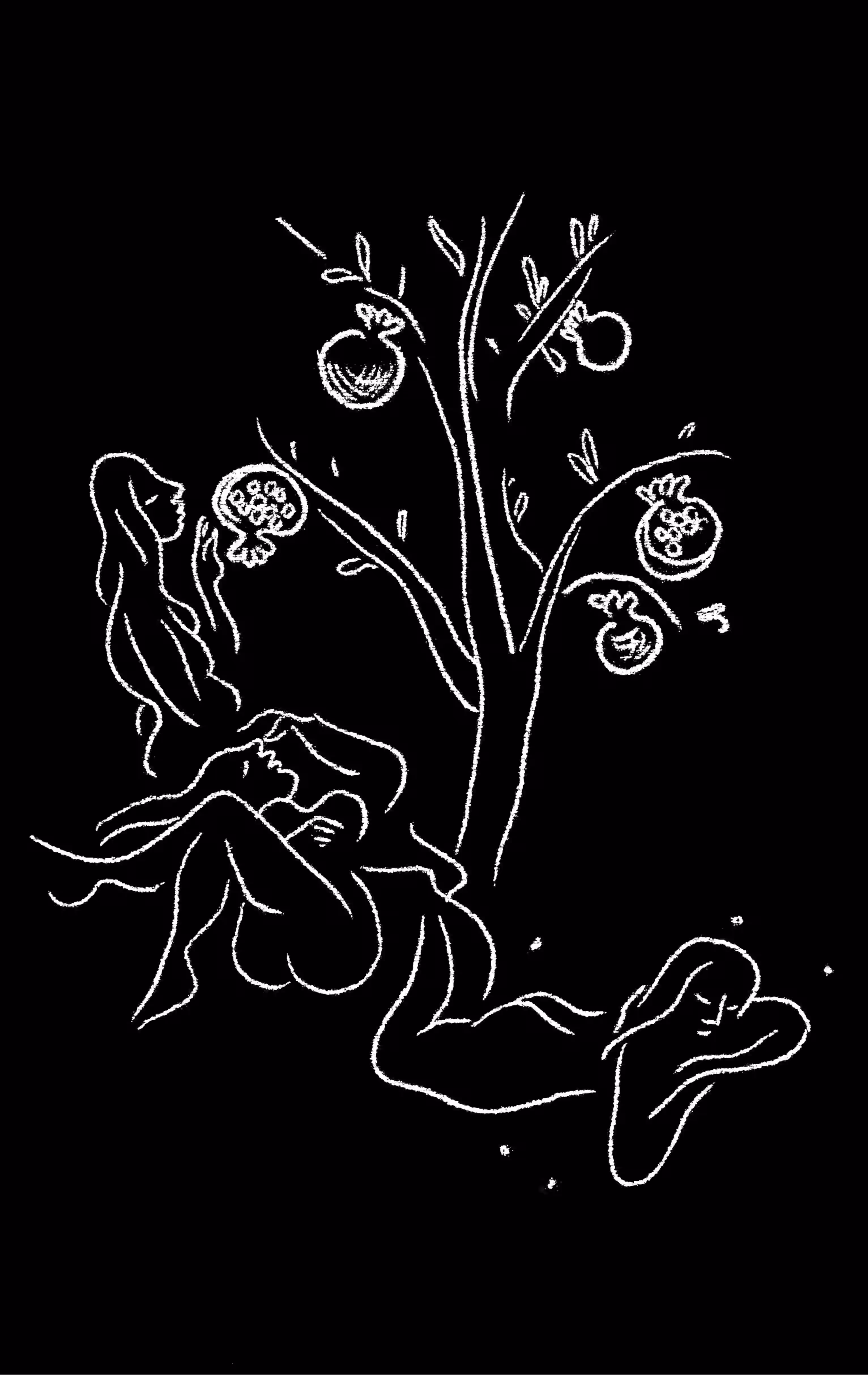 Les Metamorphoses d'Ovid, Illustration V