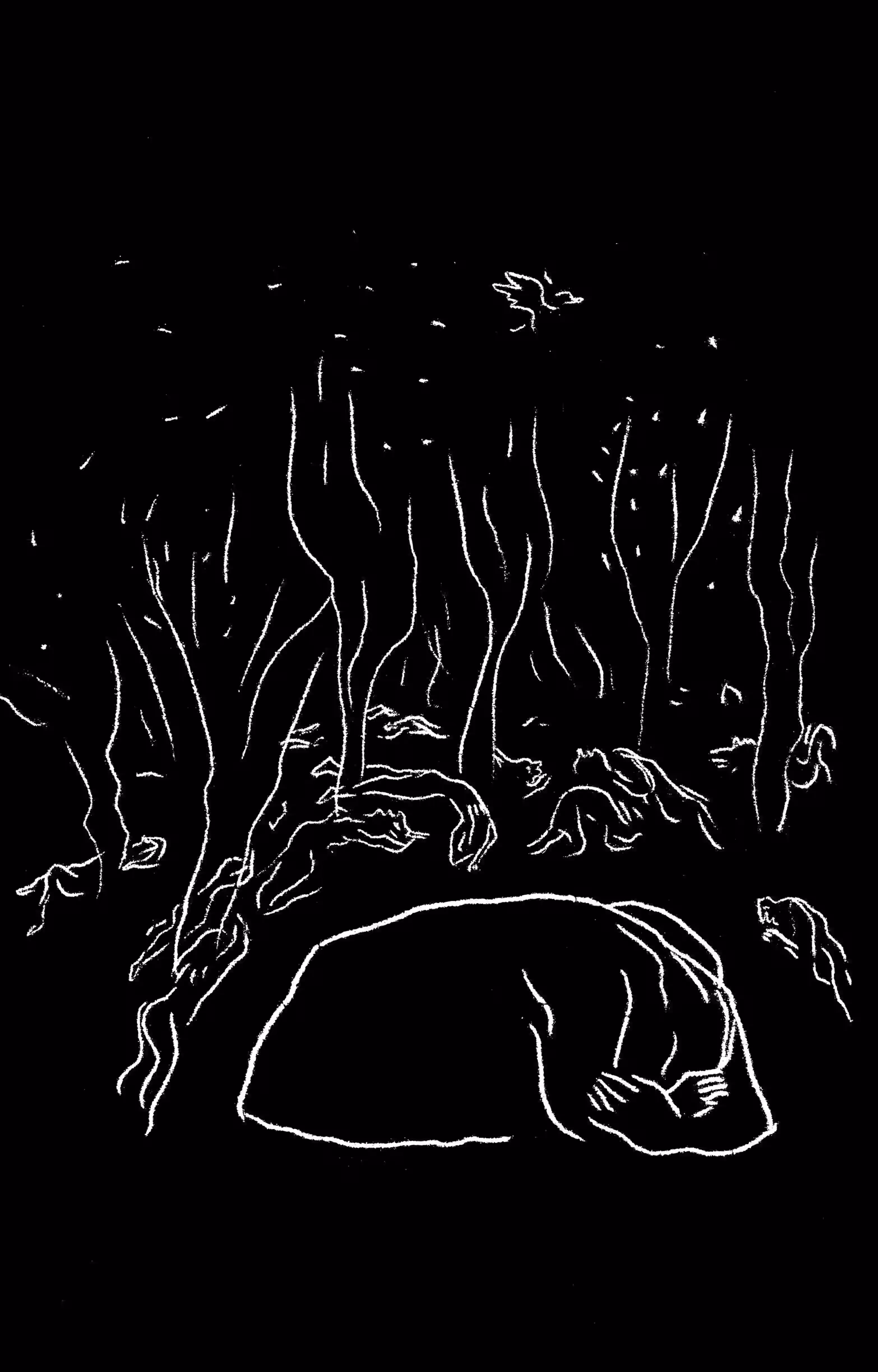 Les Metamorphoses d'Ovid, Illustration VI