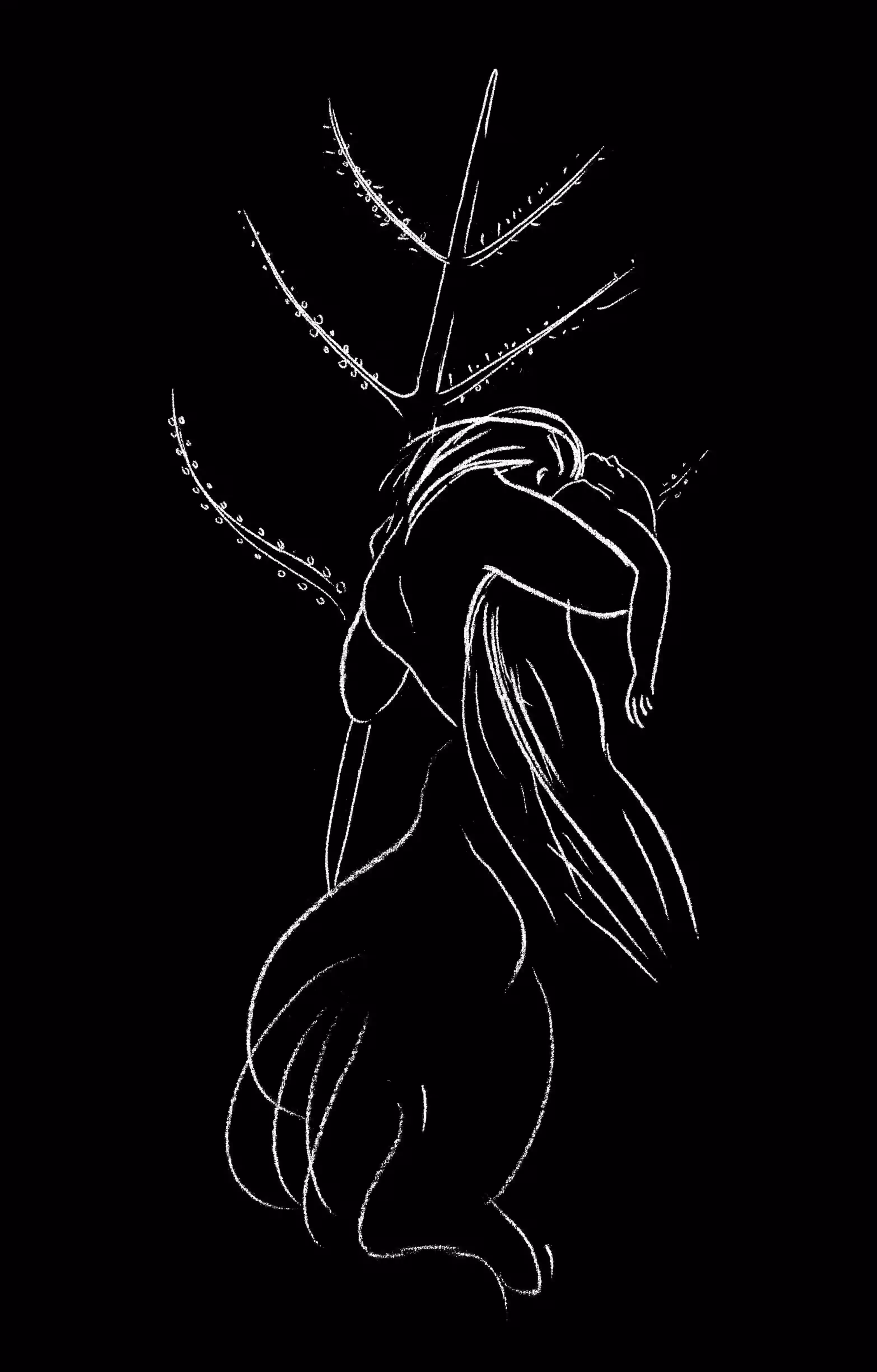 Les Metamorphoses d'Ovid, Illustration XII