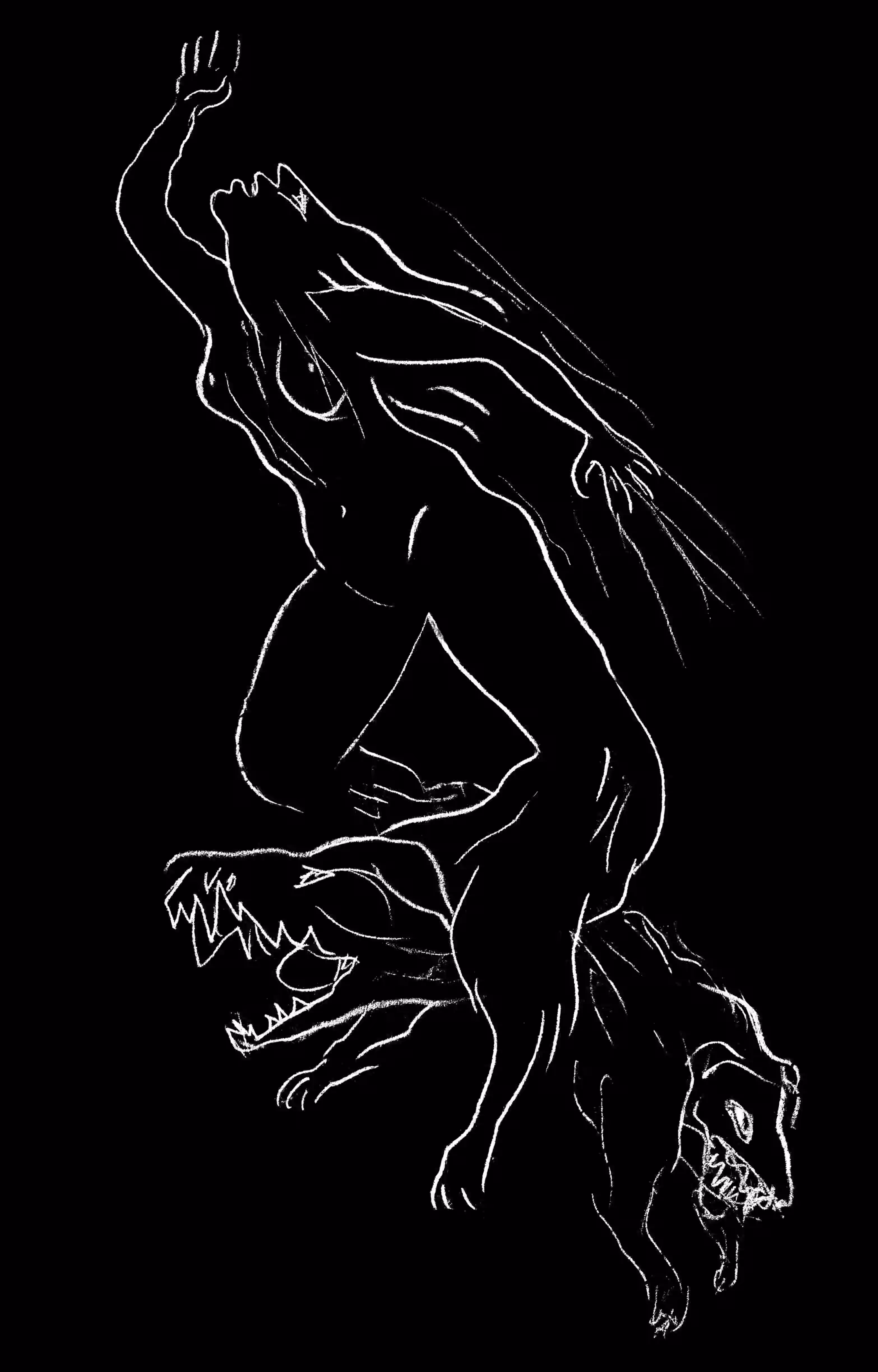 Les Metamorphoses d'Ovid, Illustration XIV